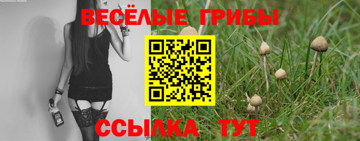 Псилоцибиновые грибы Psilocybe  Псилоцибиновые грибы Magic Shrooms  Волгоград  Вход с VPN 