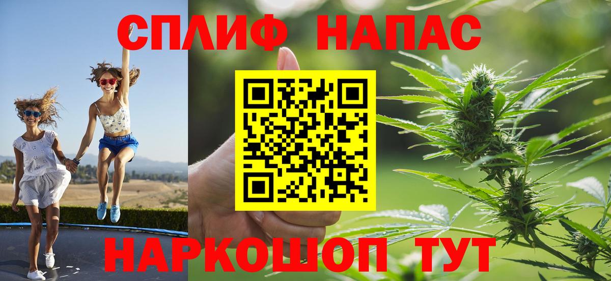 Конопля план  Шишки марихуана сатива  Вход с VPN  Волгоград  Бошки Шишки гибрид 